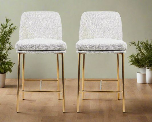 Evelyn Modern 27 inch Counter Height Bar Stool Set of 2